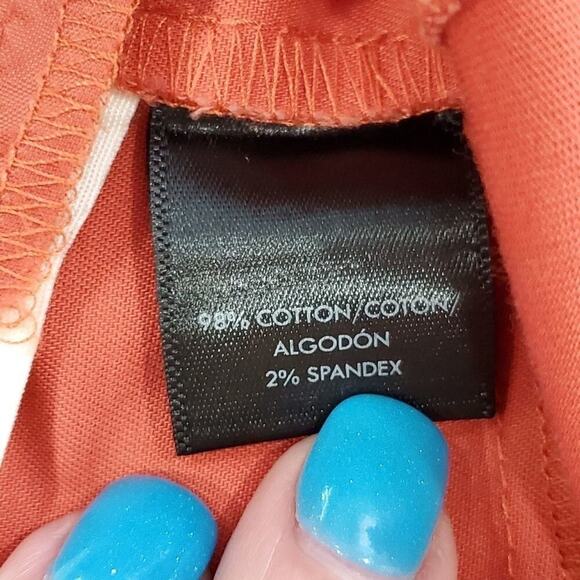 Ann Taylor DEVIN FIT IN DUSTY PERSIMMON Pants size 6 - Picture 7 of 8